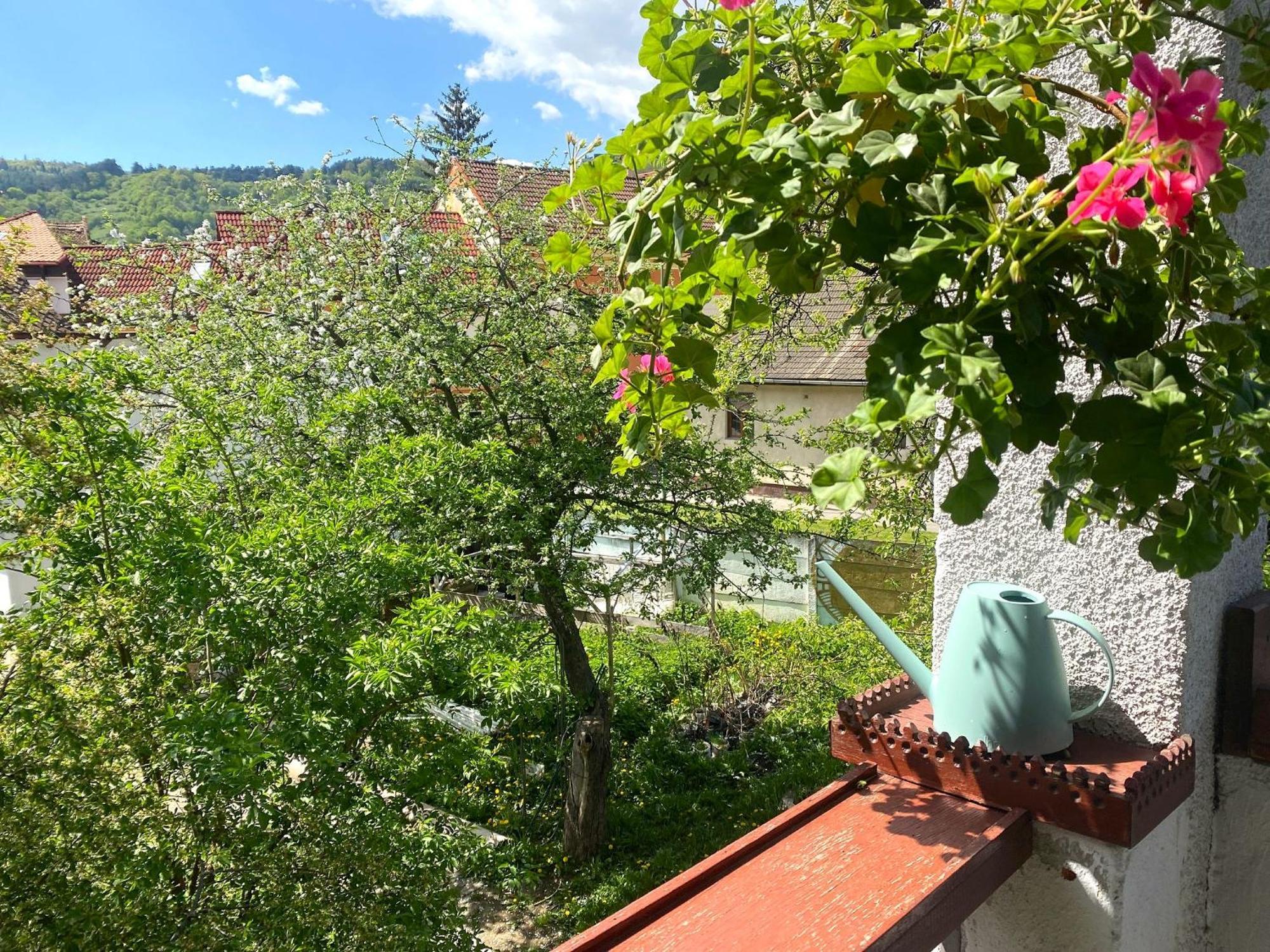 Rose'S Oldtown Apartment Brașov Exterior foto